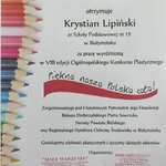 Powiększ zdjęcie: 1624350768042.jpg
