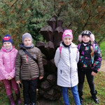 Powiększ zdjęcie: 1632650480725.jpg