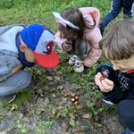 Powiększ zdjęcie: IMG_6309.jpg