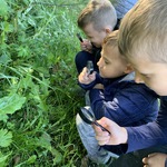 Powiększ zdjęcie: IMG_6305.jpg