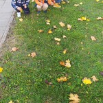 Powiększ zdjęcie: IMG_20211004_101624.jpg