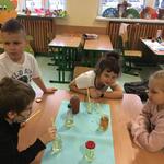 Powiększ zdjęcie: received_325422342761855.jpg