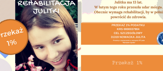 Ilustracja do artykułu Rehabilitacja JulitkaPanorama.png