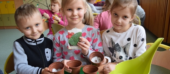 Ilustracja do artykułu DSC_0874.JPG