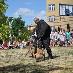 Powiększ zdjęcie: 
