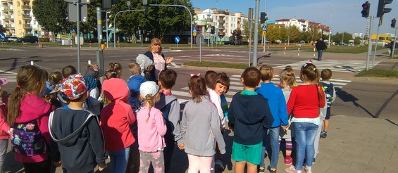 Ilustracja do artykułu IMAG2087.jpg