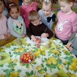 Powiększ zdjęcie: 