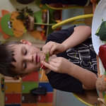 Powiększ zdjęcie: 