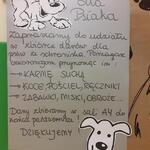Powiększ zdjęcie: 