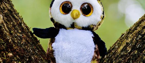 Ilustracja do artykułu owl.jpg