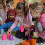 Powiększ zdjęcie: 