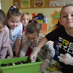 Powiększ zdjęcie: 