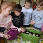 Powiększ zdjęcie: 