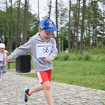 Powiększ zdjęcie: 