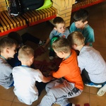 Powiększ zdjęcie: 